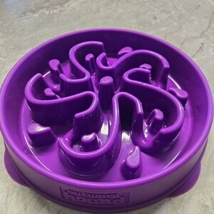 Outward Hound Purple Maze Dog Bowl